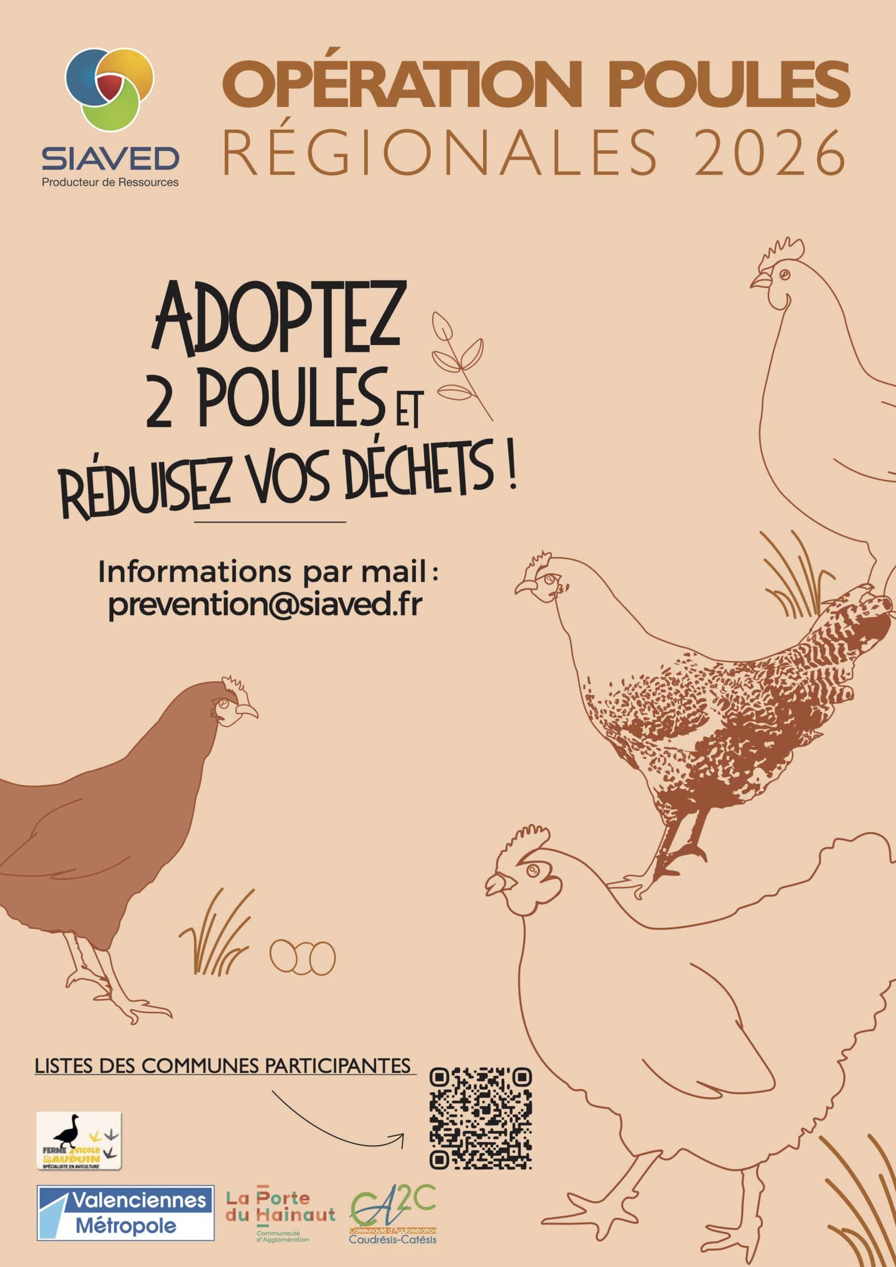 affiche poules
